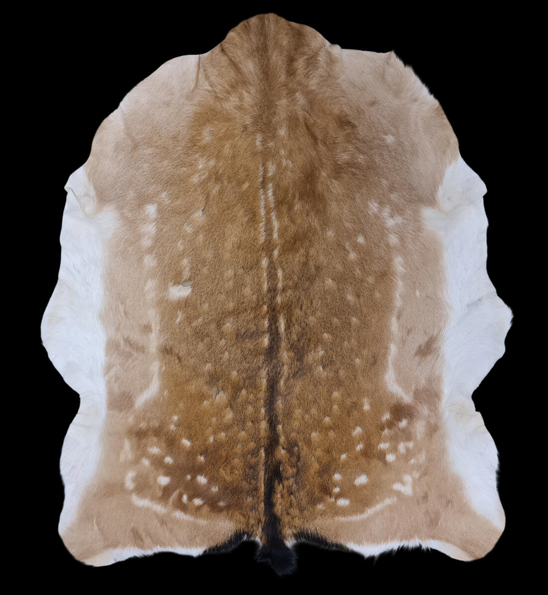 Fallow deer rug